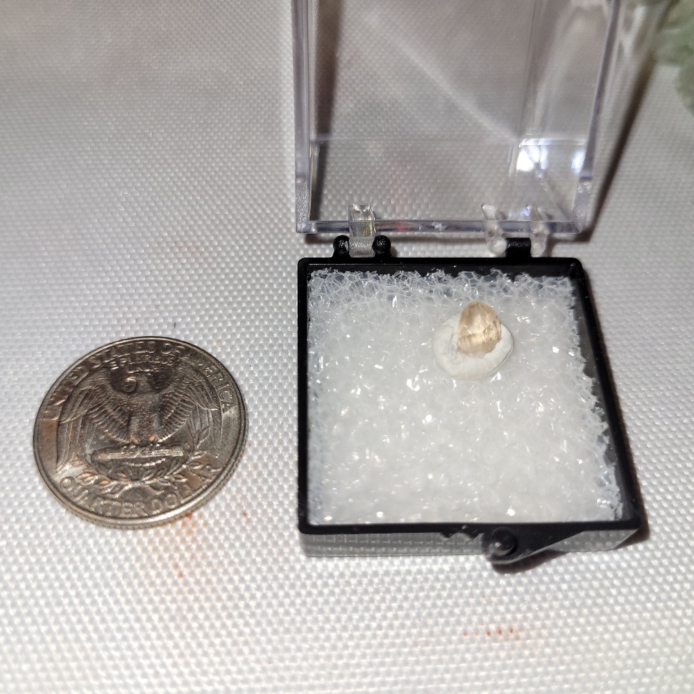 Rare Terminated Solar Wind Mine, Utah Pink Topaz